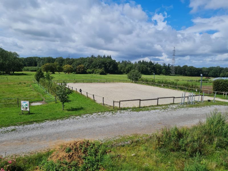 pension pour cehvaux ferme de bourgoggne pension pour cehvaux ferme de bourgoggne