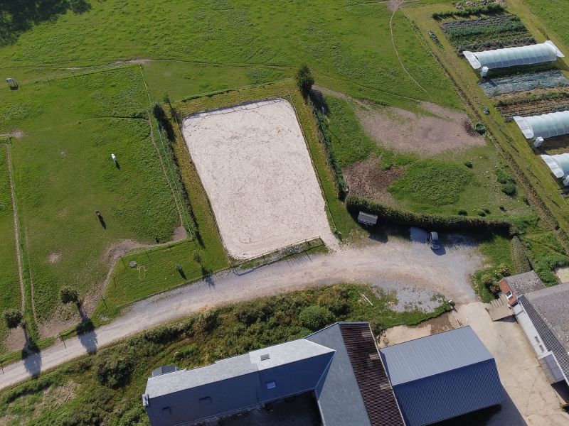 pension pour cehvaux ferme de bourgoggne pension pour cehvaux ferme de bourgoggne